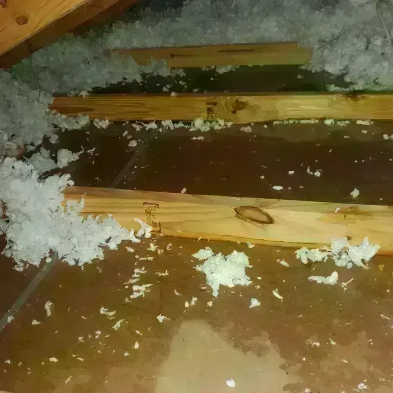 Attic Water Damage in Princeton, MA